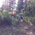 Contributed photo by Tsalteshi Trails Association Several make their way downhill during the fourth Salmon Cycle Series race Thursday July 31, 2014 on the Tsalteshi Trails in Soldotna, Alaska.