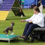 Photo by Dan Balmer/Peninsula Clarion Soldotna resident Linda Jacobsen tells her dog Trace to wait for five seconds before continuing through the agility course Monday at the Kenai Kennel Club agility trials at the Kenai Little League Fields. Jacobsen said having the opportunity to go through the course with her dog despite her limited mobility has been a rewarding experience.