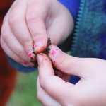 Photo by Kelly Sullivan/ Peninsula Clarion The students of Sara Boersma and Robyn Zinszer at the Kaleidoscope School of Arts and Science were encourage to use their senses, including touch, on a walk on the Shqui Tsatnu Creek Trails, Wednesday, September 17, 2014 in Kenai, Alaska.