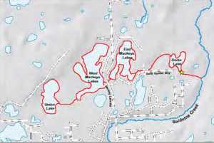 Maps by the Alaska Department of Fish and Game Area one, or the western branch of the Soldotna Creek drainage will be treated with the poison rotenone, in order to eradicate invasive northern pike in the region.  Fish and Game plans to begin treatment on the four lakes in October. Once complete the project will be the largest rotentone treatment project carried out to date by Fish and Game.