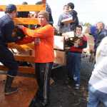 Photo by Kelly Sullivan/ Peninsula Clarion Sage Hill, a Life Scout in Boy Scouts of America Troop 151 and junior at Soldotna High School, built a perpetual wood shelter at the Kenai Peninsula Food Bank for residents and locals in need of firewood to heat their homes this winter. Members of Hill's troop and the Church of Jesus Christ of Latter Day Saints in Soldotna helped pile in the first stacks of wood taken from Soldotna City Manager Mark Dixson's property, Saturday, September 20. 2014 in Soldotna Alaska.
