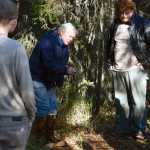 Photo by Rashah McChesney/Peninsula Clarion Kenai Peninsula College Professor of Anthropology, Alan Boraas, talks to a class during a walk near the college Thursday September 25, 2014 in Soldotna, Alaska. Boraas took students and faculty members to several historical Dena'ina sites along Slikok Creek and the Kenai River.