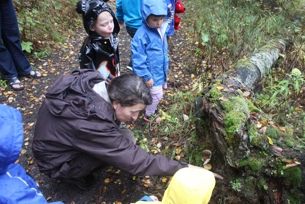 Photo by Kelly Sullivan/ Peninsula Clarion Students in the PEEPS educational progmam hosted by Educational Specialist Michelle Ostrowski went for a walk in the rain at the Kenai National Wildlife Refuge to see the different plants that decomposes vegetation in the refuge, Thursday, September 18, 2014 in Soldotna, Alaska.