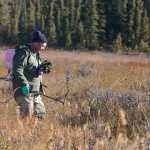 Photo by Rashah McChesney/Peninsula Clarion  A man  takes a break from helping Fish and Game apply the fish-killing poison rotentone in the marshy areas around East Mackey Lake Wednesday October 8, 2014 in Soldotna, Alaska.  Area Management Biologist Robert Begich said the fish will attempt to escape the poison and hide in the marshy areas.