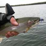 Tight Lines: The quiet alternative