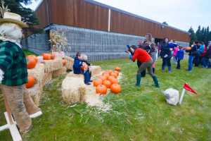 Photo by Kelly Sullivan/ Peninsula Clarion Annie Massey, Secretary for the Kalifornsky Beach Elementary PTA said she had a line for families wanting photos for two straight hours during the schools first "Pumpkins in the Playground," event Thursday, October 16, 2014, at Kalifornsky Beach Elementary in Soldotna, Alaska.