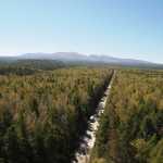 The forest surrounding Changbai Mountain has been impacted by logging, pesticide treatment and poaching. (USFWS/Leah Eskelin)