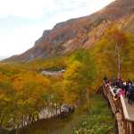 Boardwalks protect sensitive hot spring pools from foot traffic damage at Changbai Mountain's Julong Hot Springs (USFWS/Leah Eskelin)