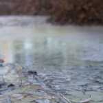 Photo by Rashah McChesney/Peninsula Clarion Chuck Campbell gestures toward a large pile of a concrete mixture that has been leaking onto his property from a nearby Baker Hughes facility, Thursday October 23, 2014 in Nikiski, Alaska.
