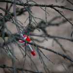 Photo by Rashah McChesney/Peninsula Clarion Several air quality moniters hang in trees near  a Baker Hughes facility where workers are cleaning up several thousand pounds of a cement dust mixture, on Wednesday November 5, 2014 in Nikiski, Alaska.