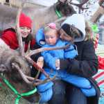 Photo by Kelly Sullivan/ Peninsula Clarion Linx Robertia was apprehensive taking a picture with Jenna Hansen's reindeer, Scene of the Crash and Comet, at Christmas Comes to Kenai November 28, 2014, in at the Kenai Chamber of Commerce and Visitor Center in Kenai, Alaska. Her parents, Joseph Robertia and Colleen Robertia, said Linx Robertia recognized the animals right away, because they were in her alaphabet book. When Linx Robertia was standing in line to see Santa Claus she kept saying "caribou, caribou," Joseph Robertia said.