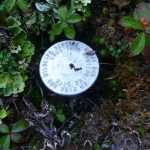 Finding a needle in a haystack: one of the permanent monuments put in place eight years ago to mark the location of 74 plots used to monitor invasive species populations on the Kenai National Wildlife Refuge. (Elizabeth Bella/Kenai National Wildlife Refuge)
