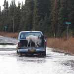 K-Beach flooding area sees slow progress