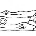 Derek Stanton A sketch by sculptor Derek Stanton of a wooden animal sculpture to be installed in Kenai's municipal playground. The Kenai city council approved the purchase of the sculptures at their meeting on Wednesday, Jan. 7