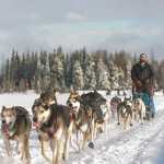 This photo taken Saturday shows the lack of snow around Freddie's Roadhouse in the Caribou Hills, one of the T200 Sled Dog Race checkpoints. The race has been postponed until Feb. 21.