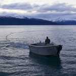 Derek Ball uses a skiff to pull a seine in Kachemak Bay January 11, 2015 while fishing for pollock in an experimental fishery.