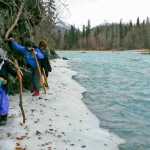 Photo courtesy Robert Hughes Geraldine Hughes, Michael Hughes and a family friend hike along the Kenai River on Sunday Feb. 22, 2015 in the Kenai National Wildlife Refuge. The Hughes family encountered a bear during a recent hike and said it followed them back to their vehicle, despite several warning shots that were fired at it. Wildlife managers said bears can be out in any month of the year, but hikers should be especially careful to be aware of wildlife activity, given the unseasonably warm temperatures.