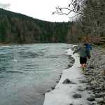 Photo courtesy Robert Hughes  A Soldotna family hiking on the Kenai River Trail near the Skilak Loop said they encountered a bear that followed them back to their vehicle on Sunday Feb. 22, 2015 in the Kenai National Wildlife Refuge. Wildlife managers said bears can be out in any month of the year, but hikers should be especially careful to be aware of wildlife activity, given the unseasonably warm temperatures.