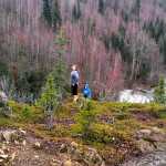 Photo by Rashah McChesney/Peninsula Clarion  A Soldotna family and friend hike along the Upper Kenai River Trail on Sunday Feb. 22, 2015 in the Kenai National Wildlife Refuge. Robert Hughes said the group encountered a bear during the hike and that the bear followed the group back to their vehicle - despite him firing several warning shots at it.