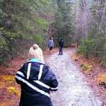 Photo courtesy Robert Hughes  A Soldotna family hiking on the Kenai River Trail near the Skilak Loop said they encountered a bear that followed them back to their vehicle on Sunday Feb. 22, 2015 in the Kenai National Wildlife Refuge. Wildlife managers said bears can be out in any month of the year, but hikers should be especially careful to be aware of wildlife activity, given the unseasonably warm temperatures.