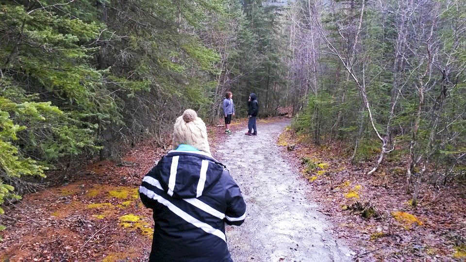 Photo courtesy Robert Hughes  A Soldotna family hiking on the Kenai River Trail near the Skilak Loop said they encountered a bear that followed them back to their vehicle on Sunday Feb. 22, 2015 in the Kenai National Wildlife Refuge. Wildlife managers said bears can be out in any month of the year, but hikers should be especially careful to be aware of wildlife activity, given the unseasonably warm temperatures.