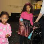 "Walkin' the Dog" at new Blue Moose Doggie Day Care Bed & Biscuit