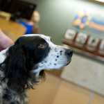 Kenai Radiation Oncology Center Office Environmental Portraits