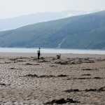 Photo contributed by J&J Smart Charters  Clammers work the Polly Creek beach on the west side of the Cook Inlet during a June 26, 2013 trip with J&J Smart Charters operating out of Ninilchik, Alaska.
