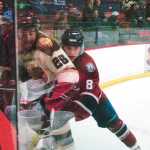 Photo by Rashah McChesney/Peninsula Clarion  The Kenai River Brown Bears played the Fairbanks Ice Dogs on Friday March 20, 2015 in Soldotna, Alaska.