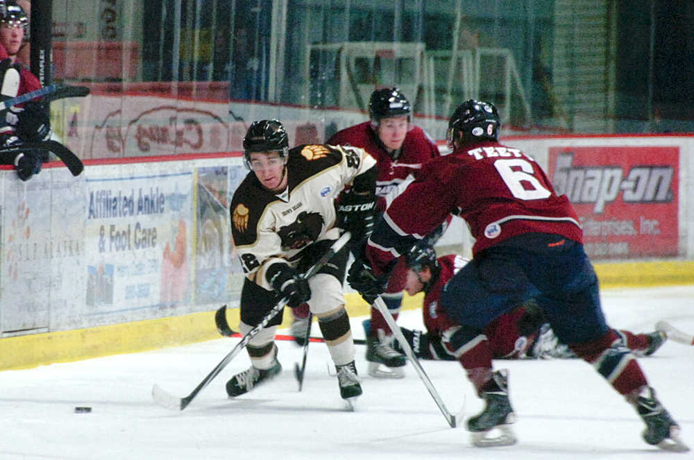 Photo by Rashah McChesney/Peninsula Clarion Kenai River Brown Bears' Joey Sardina looks down the ice for an opening during their game against the Fairbanks Ice Dogs on Friday March 20, 2015 in Soldotna, Alaska.