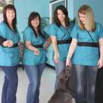 New "Doggy Styles" pet grooming opens in Soldotna