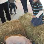 Peninsula Center Mall hosts Easter Bunny & prize filled egg hunt,