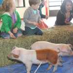 Peninsula Center Mall hosts Easter Bunny & prize filled egg hunt,