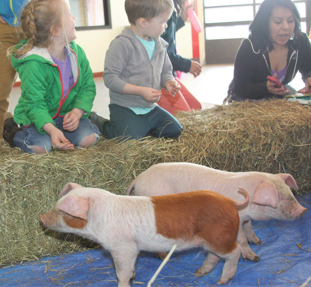 Peninsula Center Mall hosts Easter Bunny & prize filled egg hunt,