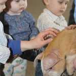 Peninsula Center Mall hosts Easter Bunny & prize filled egg hunt,