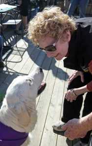 In this photo taken Sunday, April 26, 2015, Carole Romberg pets Robin, a service dog-in-training with The Other Paw Assistance Dogs, during an event to teach the public about assistance dogs and The Other Paw at Gulliver's Books in Fairbanks, Alaska. (Erin Corneliussen/The Fairbanks Daily News-Miner via AP) MANDATORY CREDIT