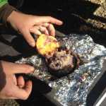 ADVANCE FOR USE MONDAY, MAY 25 -  In this photo taken May 10, 2015, a blueberry muffin mix stuffed orange peel is unwrapped after cooking it on a campfire at the Granite Tors campground near Fairbanks, Alaska.  Everything tastes better on a camping trip, but that doesn't mean camp food can't be improved on. (Sam Friedman/The Fairbanks Daily News-Miner via AP) MANDATORY CREDIT