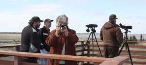 Remembering the fallen while living free: Memorial Day 2015