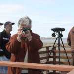 Midnight Sun Big Sit turns in big specie count