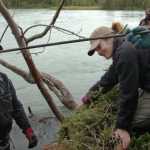 Ben Boettger/Peninsula Clarion Volunteer Andy Wakeman takes a segment of rebar used to anchor spruce debris to the shore while Kenai Watershed Forum coordinator Lisa Beranek holds the debris in place during the Streamwatch shorebank revetment on Saturday on the shore of the Kenai River near the end of Funny River Road.