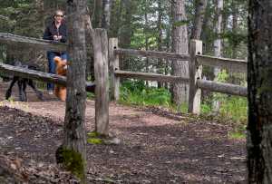 Photo by Rashah McChesney/Peninsula Clarion Charlene Daniels walks her poodles Macy and Rohan at Soldotna Creek Park on Wednesday June 10, 2015 in Soldotna, Alaska.