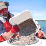 John Morton/Kenai Wildlife Refuge Scott Shuler, a representative of chemical manufacturer SePRO, fills a hopper with pellets of the elodea-targeted herbicide fluridone to be distributed into Daniels Lake on Thursday, April 4.