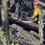 Photo by Rashah McChesney/Peninsula Clarion A firefighter works to clear an area on a bluff above the Kenai Keys on Wednesday in Sterling, Alaska.