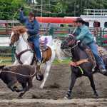 Photo by  Rashah McChesney/Peninsula Clarion  JD Wilson tries to keep atop John Wayne during the bull riding competition at the Ninilchik Rodeo on Sunday July 5, 2015 in Ninilchik, Alaska.