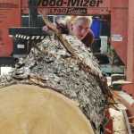 In this May 29, 2015 photo, Kelsey Kennedy works a lumber mill in Corner Bay, Alaska. Gordon Chew of Tenakee Logging Company Management moved his family to Alaska In 2002, they bought a lumber mill from a fellow Tenakee resident; they had a one-ton wrecker they used to drag trees into place. They were awarded their first contract by the U.S. Forest Service in 2007. Now, the Chews have two lumber mills and have gradually accumulated the heavy equipment that helps in the lumber trade. (Mary Catharine Martin/ Capital City Weekly via AP)