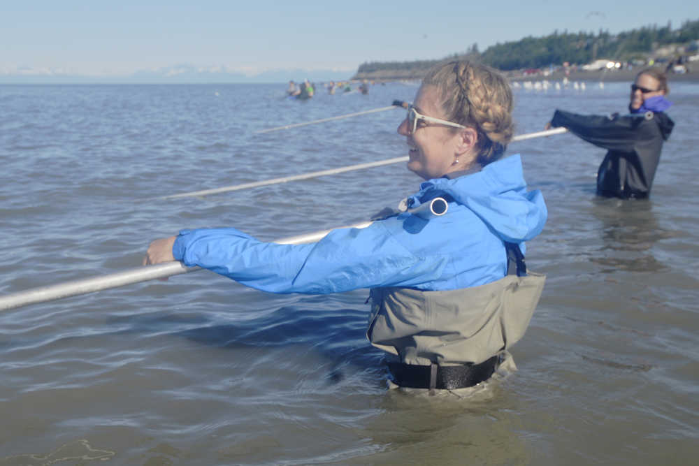 Ben Boettger/Peninsula Clarion Jill Brown (foreground) dipnets alongside Chelsee Largo (background) on Kenai's north beach on Sunday July 19.