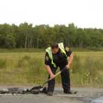 Photo by Megan Pacer/Peninsula Clarion Kenai Police Department Officer Dan Smith assists at the scene of a two-vehicle collision on Bridge Access Road on Tuesday afternoon in Kenai, Alaska.