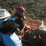 Photo by Megan Pacer/Peninsula Clarion Several barrel racers warm up before, "Beauty and the Beast," a combined barrel racing and bull riding competition on Friday night during the Progress Days Rodeo at the Soldotna Rodeo Grounds.