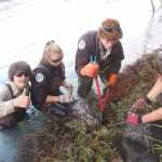 Left to right, Nathan Lervold, Amber Hamar and Talon Musgrave with a representative from the Kenai Watershed Forum help restore a bank by anchoring a spruce tree on the Kenai River. (Photo courtesy Kenai National Wildlife Refuge)