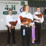 Livestock auction continues